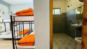 Madpackers Jibhi - Of Streamsides & Waterfalls