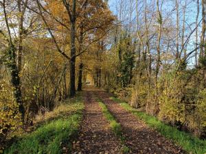 B&B / Chambres d'hotes Chez Christy Chemin des Dinots : Bungalow - Vue sur Jardin