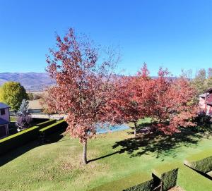 Appartements Apartamento con piscina en Santa Leocadia : photos des chambres