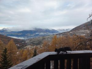 Les écureuils du Méale