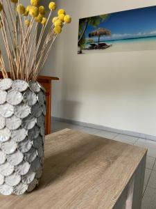 El Olivar Playa Chica - 1ºA - Arena