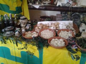 Agriturismo Ticci img15