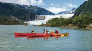 Raw Gold - Affordable, Near Mendenhall Glacier, Trails, and Conveniences - DISCOUNTS ON TOURS! - 朱诺