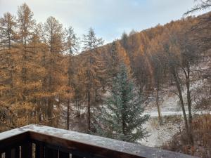 Appartements Les ecureuils du Meale : photos des chambres