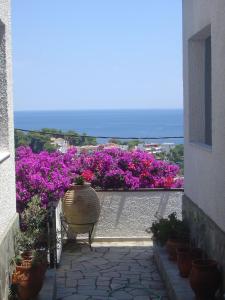 Captain George's Apartments Alonissos Greece