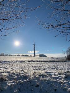 Chata73- leden, máme skvělé podmínky pro lyžování!