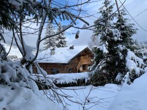 Chalet familial Fleurs des Bois - Rochebrune