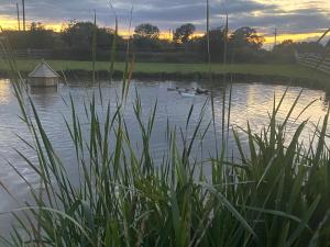 Ye Old Tack Room - Spring Paddock