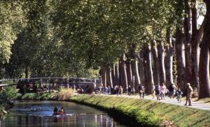 Hotels Ibis Styles Toulouse Centre Canal du Midi : photos des chambres