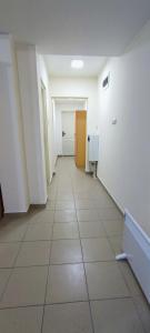 Apartman Mis Divcibare