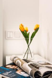 Cosy Studios in the Heart of the City