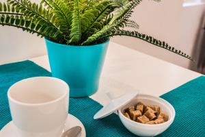 Cosy Studios in the Heart of the City