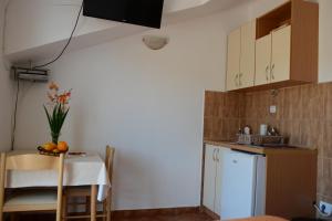 Apartments Vila Lazarevic