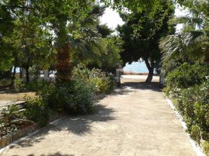 Elea Guesthouse Parnassos Greece
