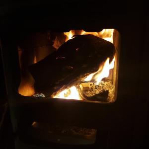 Zlatibor Wild nest Rabbit Lux