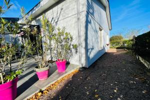 Maisons de vacances Beautiful house with large terrace in the heart of Touraine : Maison de Vacances