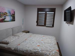 apartman Nina Zlatibor