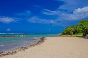 Beach Dreams at Seacastles