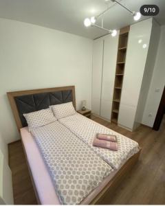 Apartman Pavle