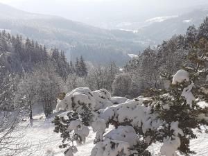 Studio sur les pistes