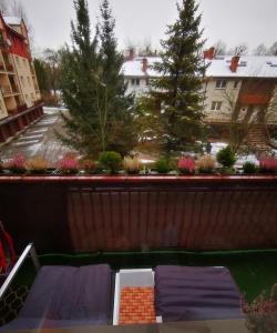 City Center Apartment