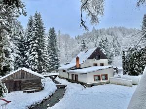 Paprsek - Chalupa V Medvědí rokli - Bärengraben