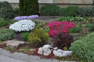 Betérő Apartman Veszprém