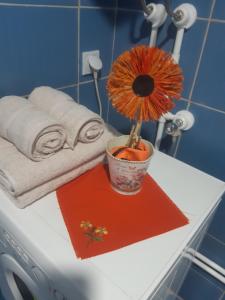 Seosko turističko domaćinstvo Stojković