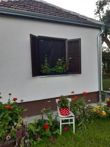 Seosko turističko domaćinstvo Stojković