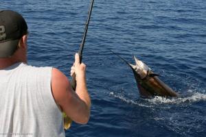 Tapirus House - Bahia Drake