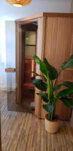 Hotels Hotel de charme & SPA Le Grand Large : photos des chambres