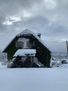 Magical Family Home 84