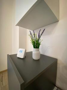 Art Apartment 3