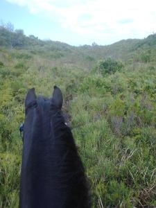 Heavenly Stables Self Catering Accommodation