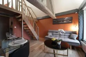 Duplex de charme au coeur historique de Metz - Metz