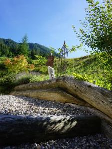 Staller Hof inkl. Chiemgaukarte