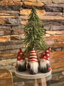 Silver Kop apartmani