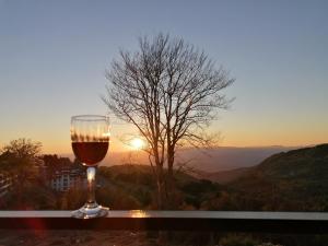 Ivkovic spa Milmari N16