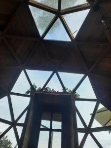 Paraíso Glamping La Vega