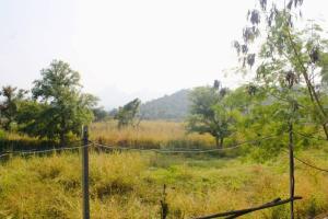 Ivy Maitri Farm 3 Bhk with Private Pool - Badlapur