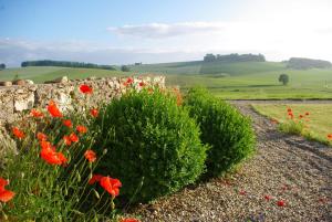 Maisons de vacances Le Hameau des Coquelicots : photos des chambres