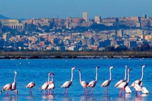 Holiday Home Virgilio House img96