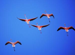 Holiday Home Virgilio House img95