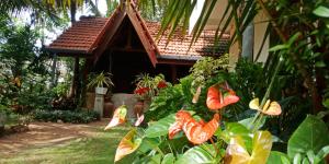 Wild View Stay