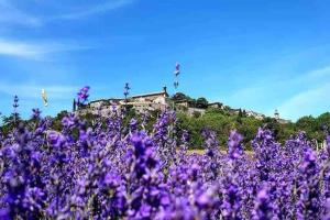 Villas Villa de vacances avec piscine Lussan(proche Uzes) : photos des chambres