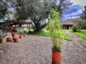 Habitación Ancestral Sol Muisca