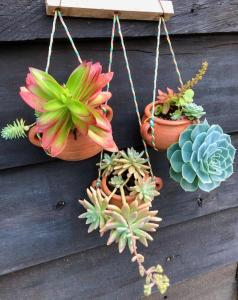 Habitación Ancestral Sol Muisca