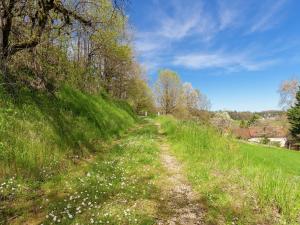 Maisons de vacances Elegant Holiday Home in Coubjours with heated pool and sauna : photos des chambres