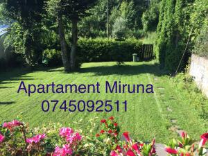 Apartament Miruna