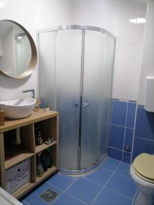 Apartman Savic